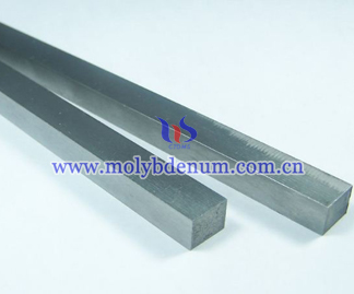 Tungsten Carbide Punch Picture